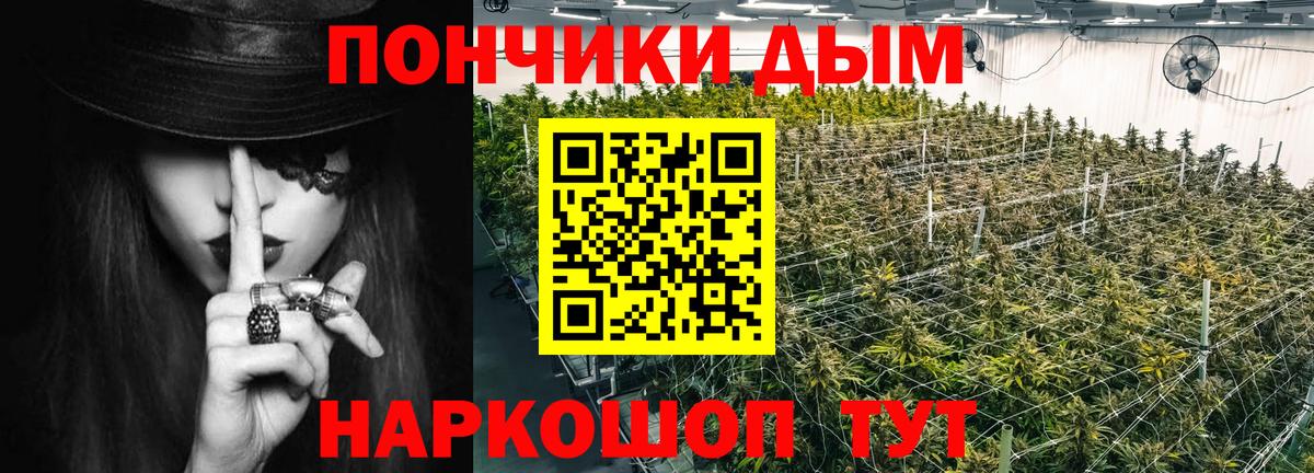 Шишки марихуана индика  Конопля семена  Канабис сатива  Бошки Шишки конопля  Кириши  Вход с VPN 